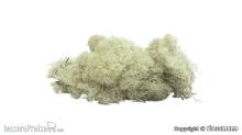 Vollmer 48411 - Moos grau, 40 g