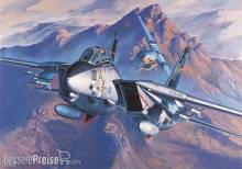 Academy 12471 - 1/72 F-14A