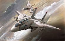 Academy 12608 - 1/144 F-14