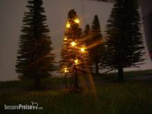 Schönwitz 50021 - Weihnachtsbaum mit Lichterkette gelb beleuchtet N