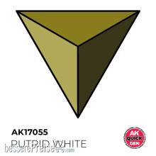 AK Interactive AK17055 - PUTRID WHITE 18 ml - QUICK GEN
