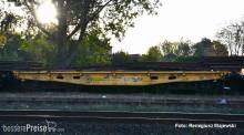 Piko 58422 - 2er Ser Flachwagen 401Z PNI VI