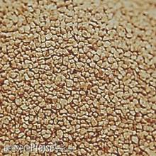 Weinert 5891 - Schotter beige (TT)