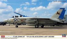 Hasegawa 602406 - 1/72 F-14D Tomcat, VF 213, Blacklions last cruise