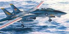 Hasegawa 607246 - 1/48 F14A Tomcat