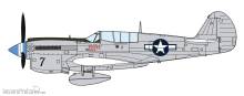 Hasegawa 607516 - 1/48 P-40N Warhawk Natural Metal Aces