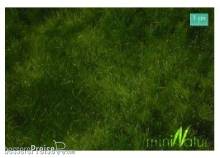 Silhouette 621-22H - Auenwiese / Fertileplain meadow 30x50cm Sommer / summer