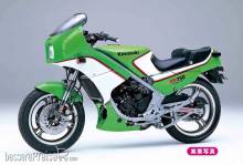 Hasegawa 621512 - 1/12 Kawasaki KR250