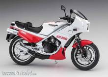 Hasegawa 621745 - 1/12 Kawasaki KR250, weiß/rot