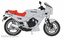 Hasegawa 621747 - 1/12 Kawasaki KR250, Silver Color