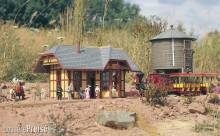 Piko 62209 - G Bahnhof ´Grizzly Flats´