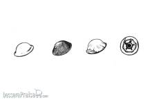 CMK 129-B35084 - 1:35 British WWII Desert Rats Helmets (6pcs)