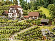 Noch 63712 - Weingut Hauser-Bühler