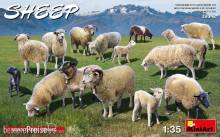 MiniArt 38042 - Sheep
