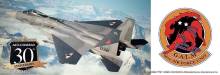 Hasegawa 652463 - 1/72 Ace Combat 7 Skies Unknown F-15C Eagle Galm 1