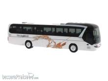 Rietze 69617 - Neoplan Jetliner Meidenbauer Königstein, 1:87