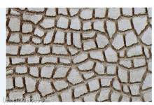 Heki 70062 - Rundsteinmauer H0/TT, 28x14 cm, 2 Stück