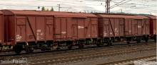 Tillig 70100 - Güterwagenset der CD Cargo, bestehend aus zwei gedeckten Güterwagen Gbgkks 112.0