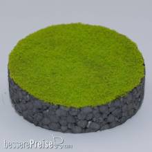 RTS 71011-3 - MicroTurf - frühlingsgrün