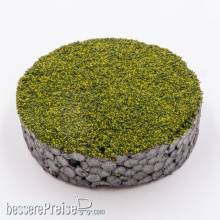 RTS 71850 - RTS Nano-Turf green blend - 15 g Beutel