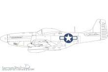 Eduard Accessories CX664 - P-51D US national insignia