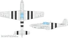 Eduard Accessories EX1119 - P-51B/C D-day stripes EDUARD