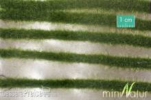 Silhouette 738-22 - Karststreifen Sommer NZ/TT/H0/0 ca. 336 cm