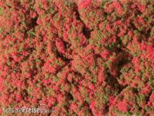 Auhagen 76932 - Blumenmatte rot
