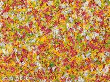 Auhagen 76937 - Schaumflocken Frühlingsblumen
