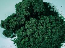 Auhagen 76982 - Moosschaum dunkelgrün fein
