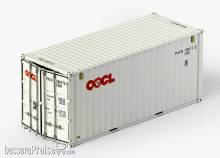 PT Trains 8210029 - Container 20´DV OOCL (PKGU3507721)