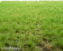 RTS 82105 - Grasbüschel Frühling