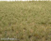 RTS 82134 - Grasbüschel Frühherbst