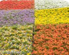 RTS 84902 - Blütenbüschel Set