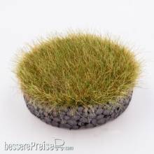 RTS 901002-1 - RTS Wildgras Sommer 2 mm 50g