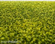 RTS 92501-3 - RTS Grasmatte Rapsfeld