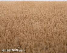 RTS 92522-3 - RTS Grasmatte Kornfeld Sommer