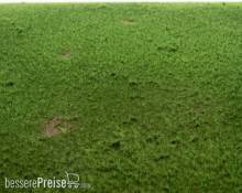 RTS 92532-3 - RTS Grasmatte Viehweide