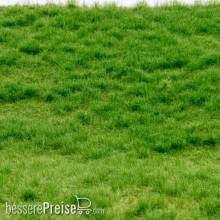 RTS 92611-4 - RTS Grasmatte Frühsommer