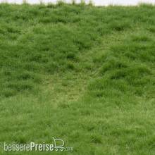 RTS 92622-4 - RTS Grasmatte Sommer