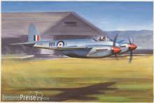 Trumpeter 02893 - 1:48 DE Havilland Hornet F.1