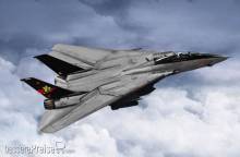 Trumpeter 03918 - 1:144 F-14B Tomcat