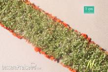 Silhouette 998-23 - Blumen rot NZ/TT/H0/0 6x ca.15 cm