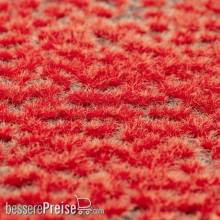 RTS 9982121 - RTS Tufts Red Planet 10 X 15 cm