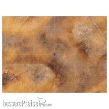 Bandua BAMAT00246 - KT Mat Imperial City Desert -1- 22´x30´ with Deployment Zones