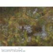 Bandua BAMAT00476 - Ruins Shock 48X36- Roleplay Mat (PVC/Vinly) Rolled Version