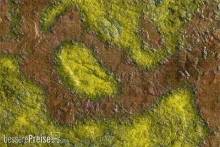 Bandua BATMAT0470 - Bayou Mat 36X24 - Roleplay Mat (Textil)
