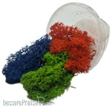 BASE X Terrain & Scenery BXMS3AQUAFLORA - Basetopping: MOOS³ SET AQUAFLORA