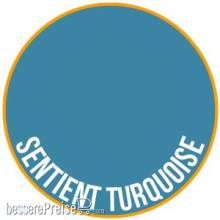 DUNCAN RHODES TWO THIN COATS DRTTC10067 - Sentient Turquoise TWO THIN COATS Wave Two Paint shadow