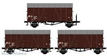 Exact-Train EX20193 - ÖBB Oppeln Bremserbühne (Blechdach/Rollenlager)(A), ÖBB Oppeln (Blechdach/Rollenlager/EUROP) (B), ÖBB Oppeln (Blechdach/Rollenlager/EUROP) (C)